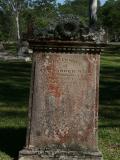 image of grave number 804852